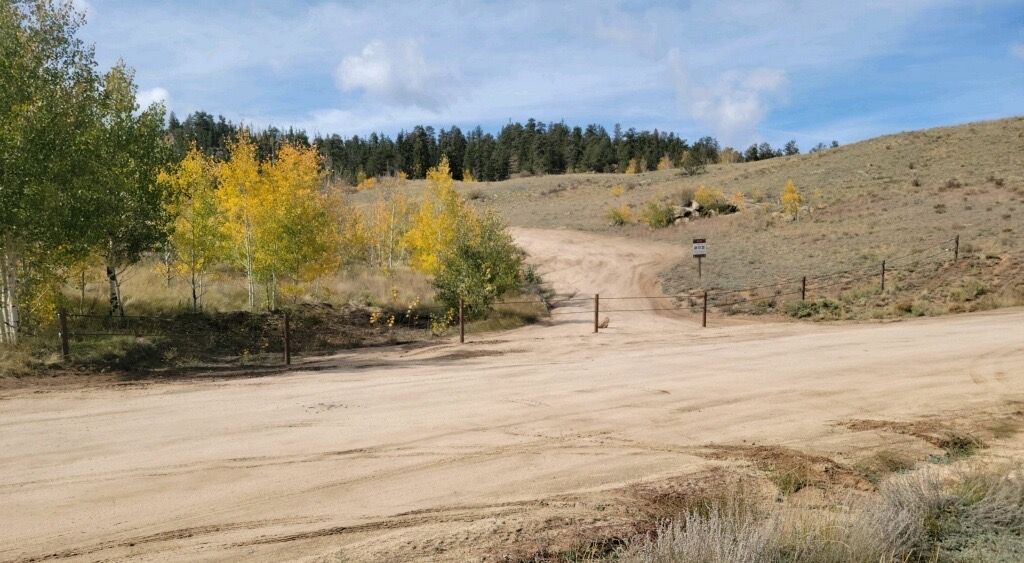 Dirt road in the foreground with post and cable at side road leading to forested slopes.