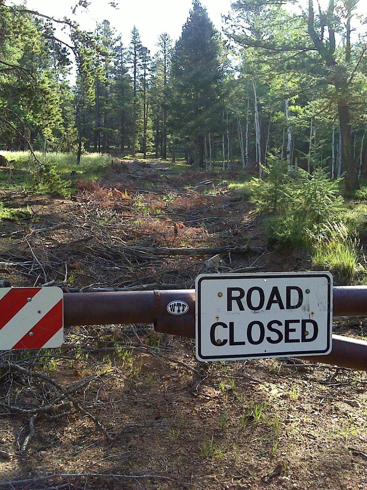 Road Closed sign on gate in front of old road and forest