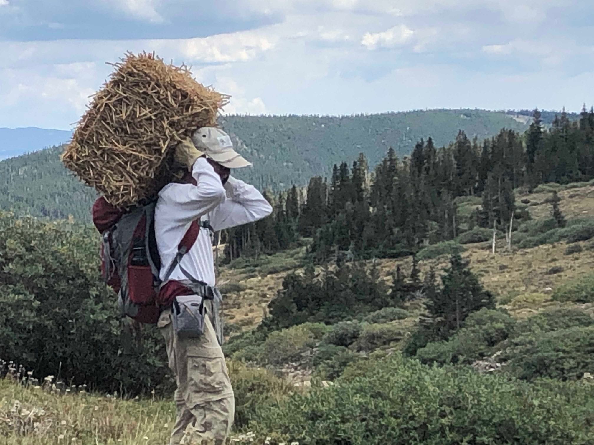 Man carrying a bale of straw on his back in forested area