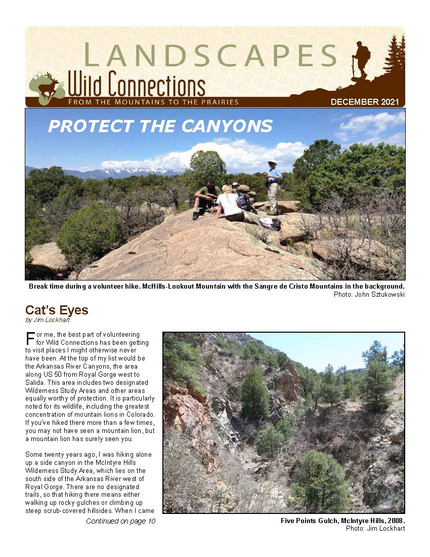 Landscapes December 2021 Protect the Canyons page with photos of hikers in two canyons.